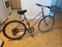 An old used bike that needs some tuning or tweaking