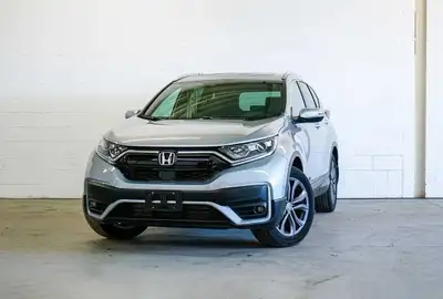 Mississauga to Windsor Rideshare , View more
