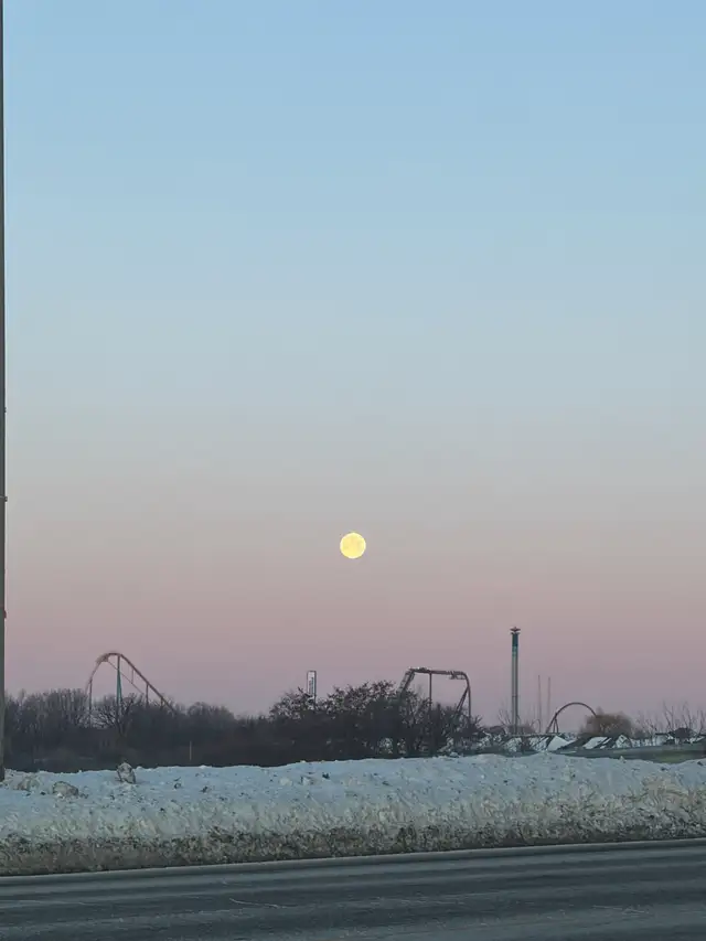 1 bed basement for rent in Maple