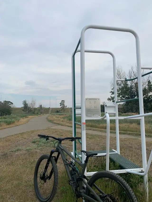 Specialized Status 14063234807104771122