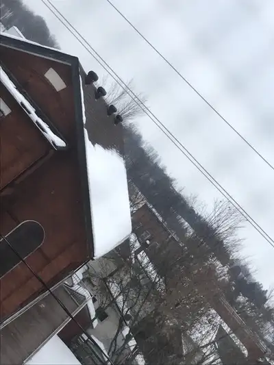 ice buildup removal, snow removal, roof repairs, View more