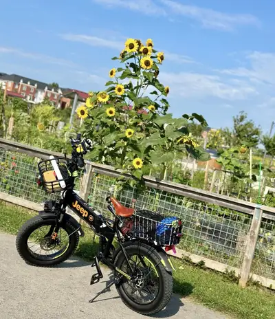 Folding Fat Tire ebike, View more