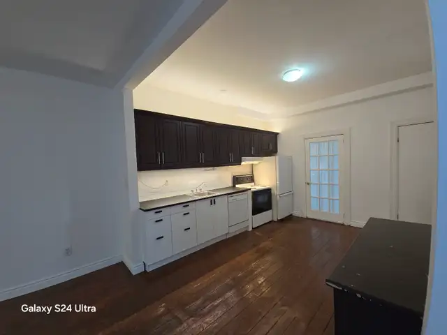 Spacious Duplex Apartment in Pointe-Saint-Charles in Long Term Rentals in City of Montréal - Image 16