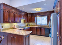 Kitchen Cabinets and granite countertop