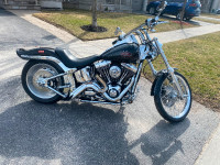 2008 Harley Davidson Softail Custom