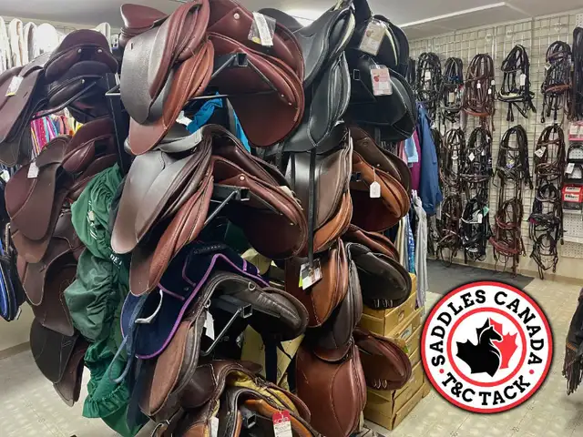 Western & English Saddles & Tack in Equestrian & Livestock Accessories in Regina - Image 4