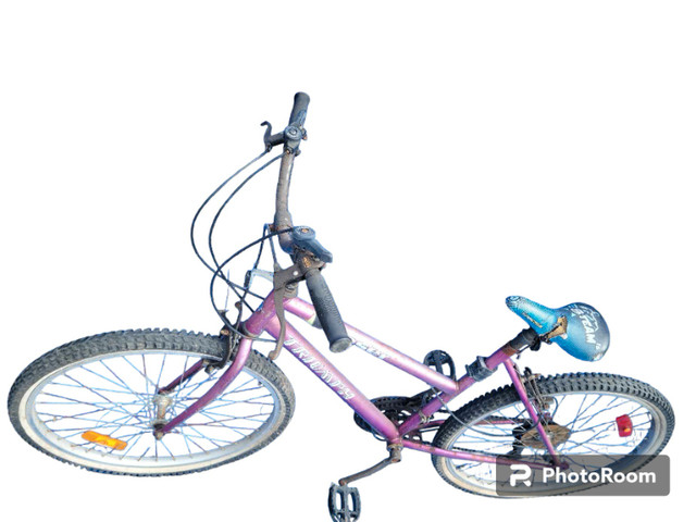 Triumph Daser bike in Hobbies & Crafts in St. Albert - Image 2