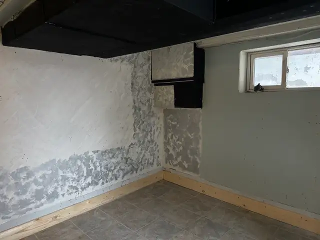 BASEMENT FOR RENT TORONTO
