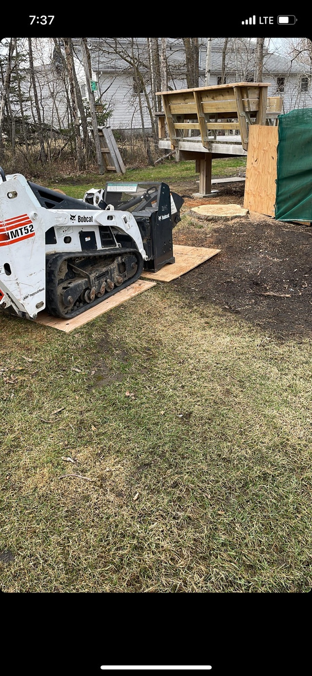 Stump grinding/Mini skid services in Lawn, Tree Maintenance & Eavestrough in Winnipeg - Image 3