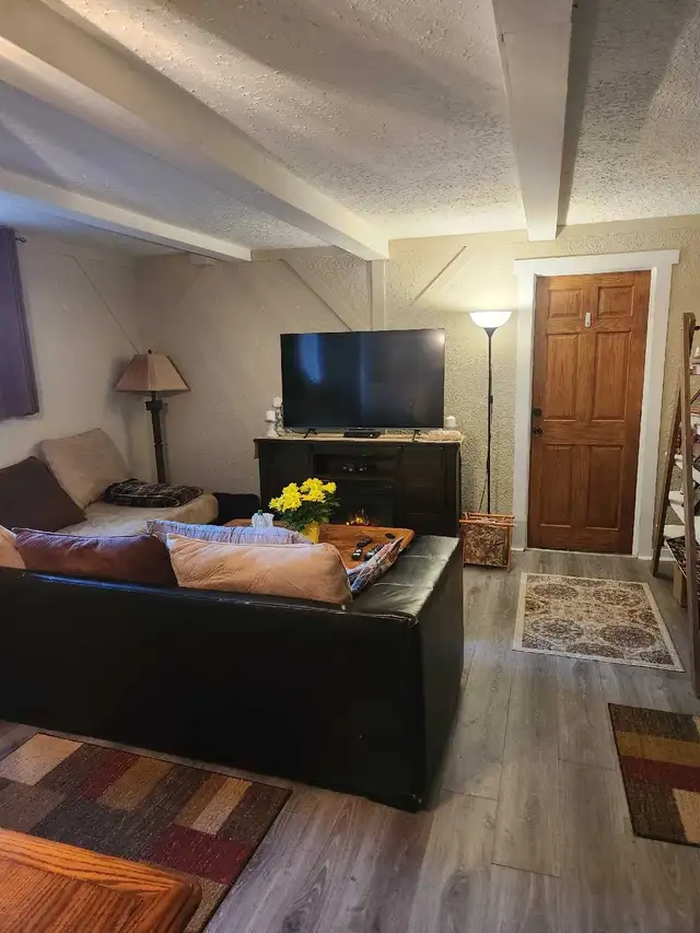 Bright Above Ground Basement Apartment in Long Term Rentals in Guelph - Image 10