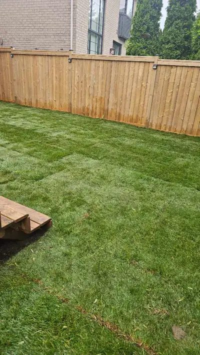 affordable sod installation- fast and professional service , View more