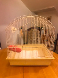 Cage oiseaux