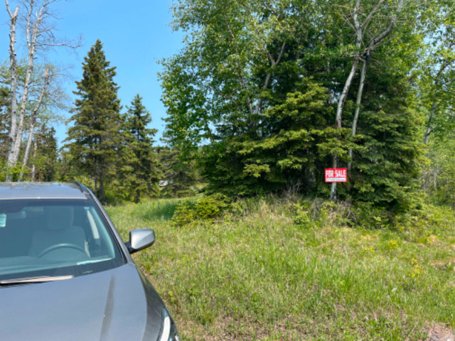 3-acre-building-lot-for-sale-land-for-sale-thunder-bay-kijiji