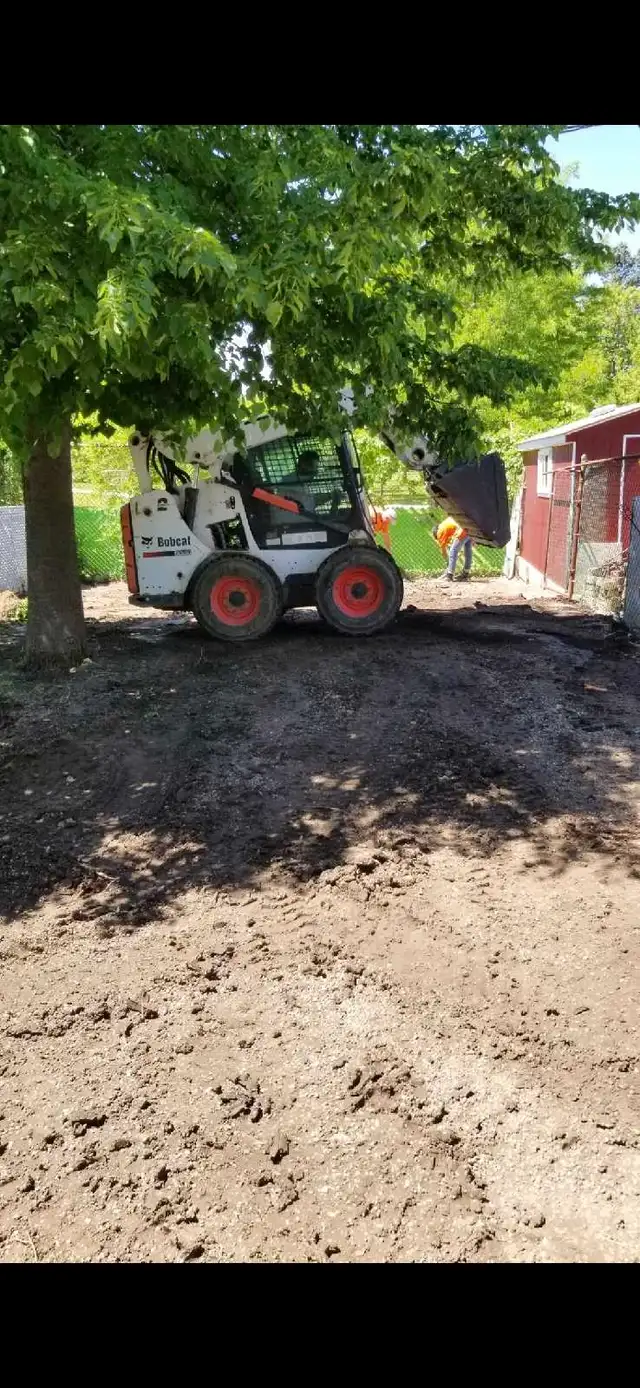 landscaping Sod lawn care trimming yard clean up loads to dump in Other in Windsor Region - Image 5