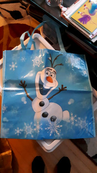 Large Frozen Reusable Bag