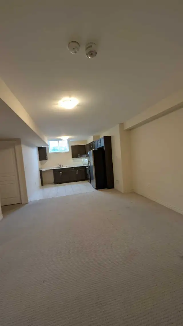Painter, construction525303516664309764