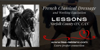 Classical Dressage Lessons