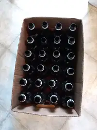 Beer bottles, PET, plastic