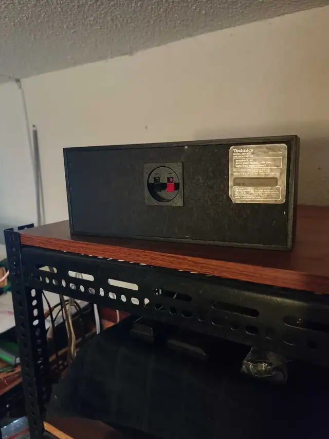 Technics center speaker.65203780700418121