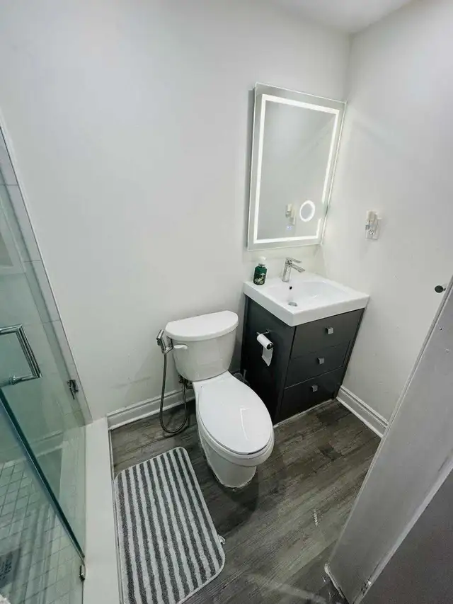Fully Furnished Basement. Ideal for Couple ( Prefer Vegetarian) in Long Term Rentals in Mississauga / Peel Region - Image 9