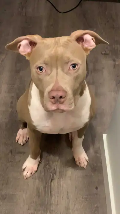 Please contact , View more