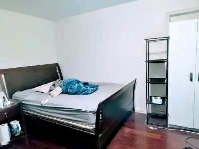 Good location. Detached house. Minutes walk to UW , Waterloo park and Waterloo square. T& T supermar...