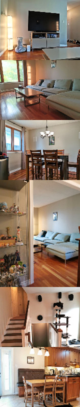 UWO room for rent, pet friendly in Room Rentals & Roommates in London - Image 4