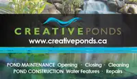 POND OPENING / CLEANING /CONSTRUCTION - Booking now !