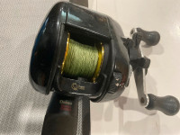 TEAM DAIWA and  Quantum reel