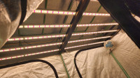 640w LED Grow lights (3 available)