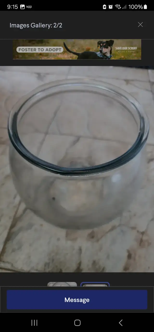 Used Anchor Hocking Glass Footed Fish Bowl in Fish for Rehoming in Oshawa / Durham Region - Image 2