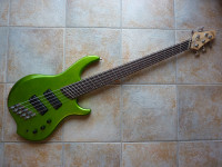 Dingwall Combustion 5-String Fanned Fret Bass