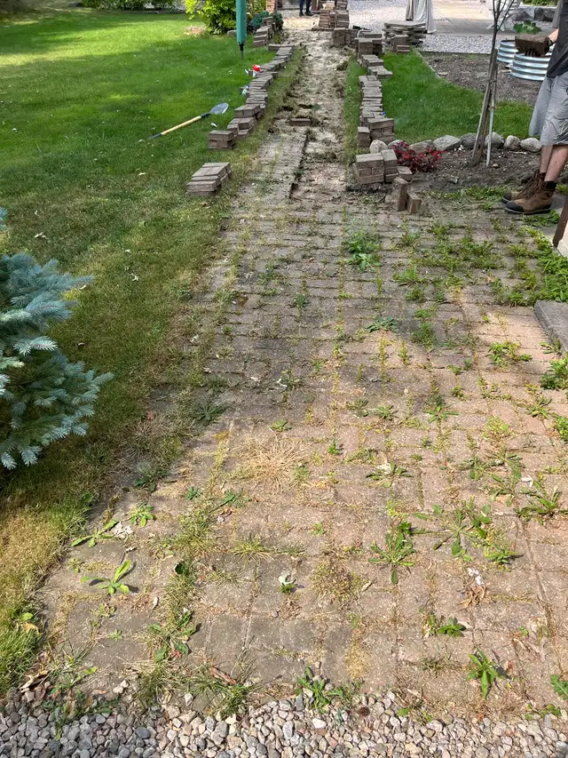 Interlock / Masonry : Repairs & New Install in Interlock, Paving & Driveways in City of Toronto - Image 5