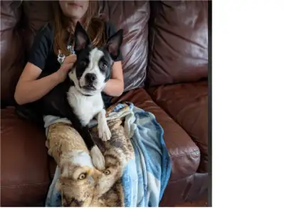 Awesome little personality!!Selling for my daughter , His name is Bear !Because he loves to cuddle ,...
