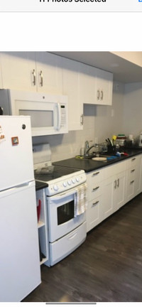 For Rent: May 1st UVIC/Camosun area 1BR/1BR Garden level Suite