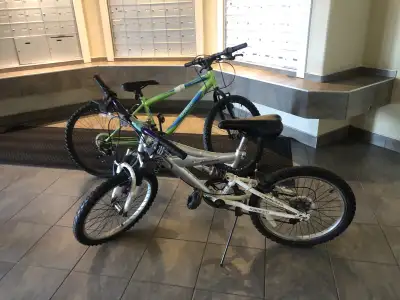 two bike for $50 fcfs, View more