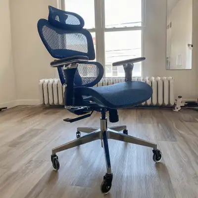 NOUHAUS Ergo3D Ergonomic Office Chair, View more