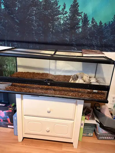 30-35gal Reptile Enclosure for sale , View more
