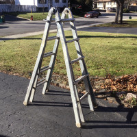 Versatile multi level ladder