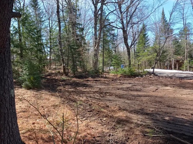 Très beau terrain boisé a vendre — photo 3