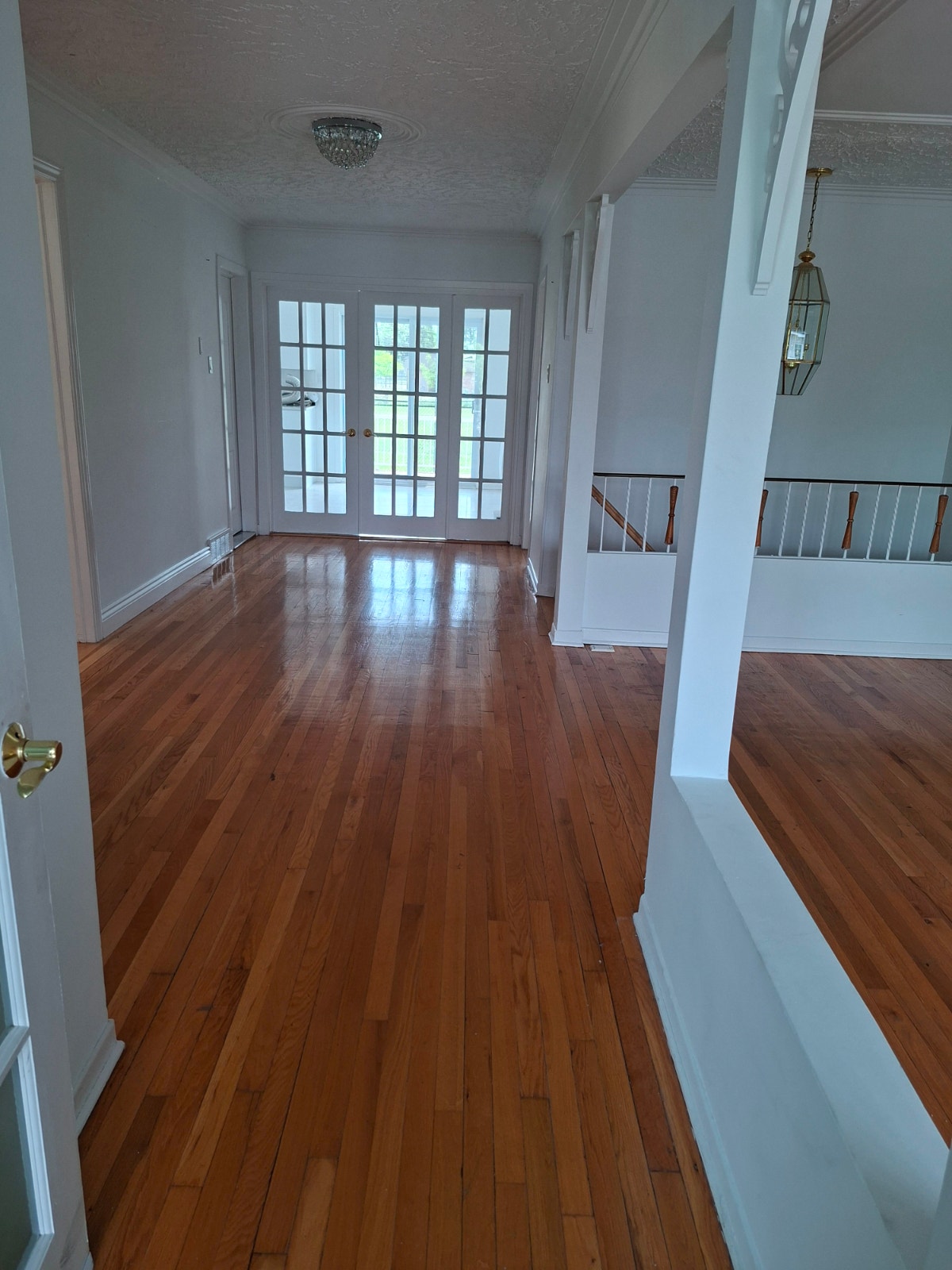 Lower Duplex for rent — photo 3