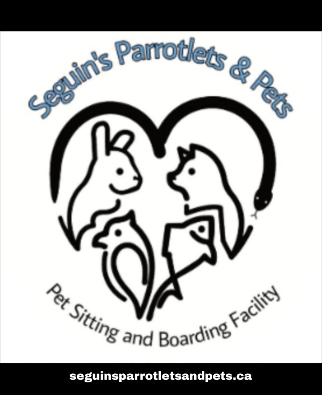 Cat Exotic and Pocket Pet Boarding & Care in Animal & Pet Services in Leamington