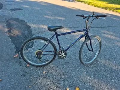 Nishiki Monshee tuned mountain bike, View more