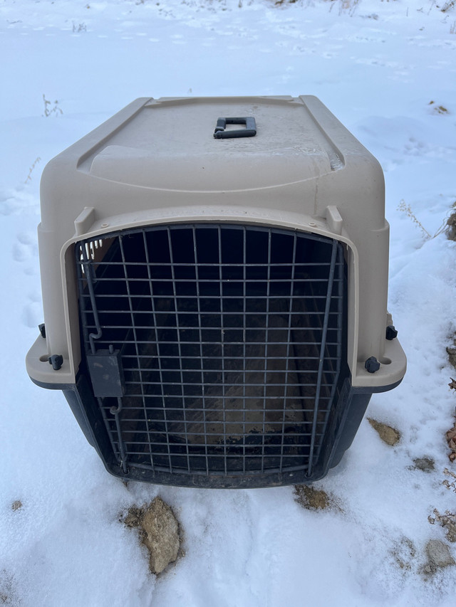 Dog Kennel for Sale  in Accessories in Prince Albert