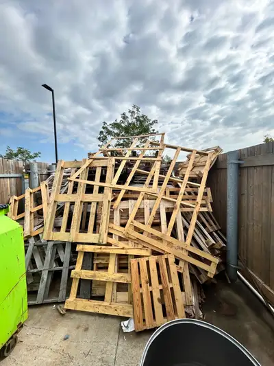 Free Skids, View more