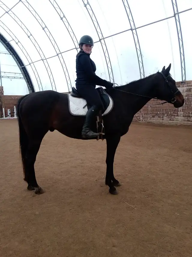 Horse Riding Lessons468681954302382080