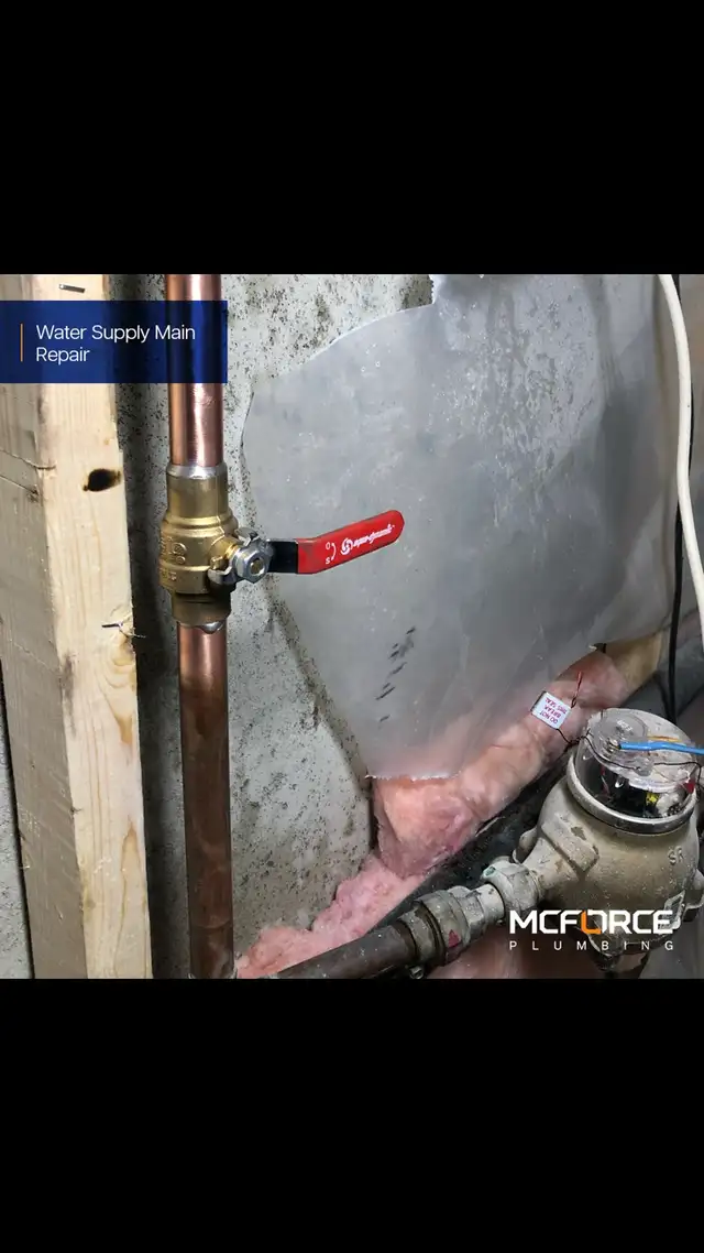 licensed plumber Available422963275828439042