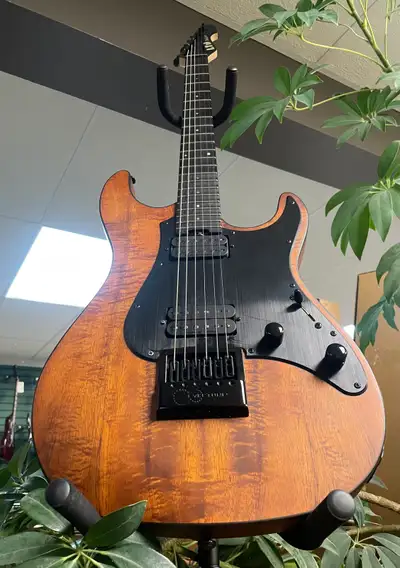 ESP LTD SN-1000 Evertune Koa, View more