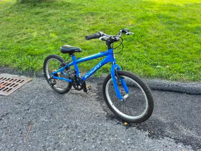 Schwinn Mesa boys 20 inch bike, View more