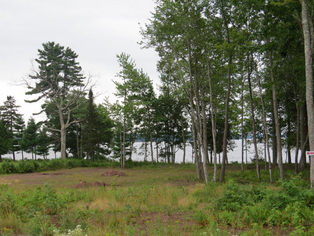 LAND FOR SALE in Land for Sale in Saint John - Image 3